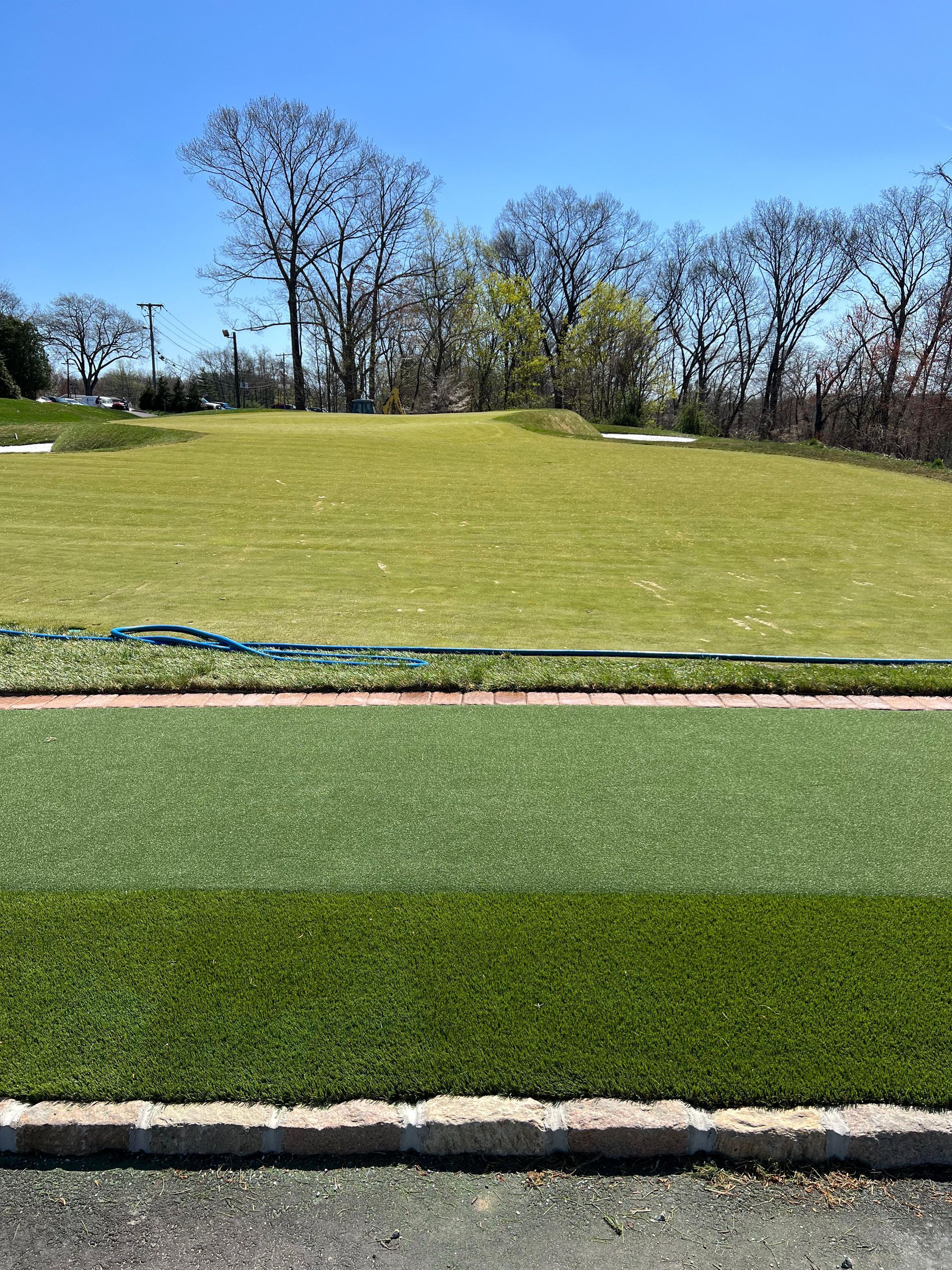 A grassy field with trees in the background and a road in the foreground.