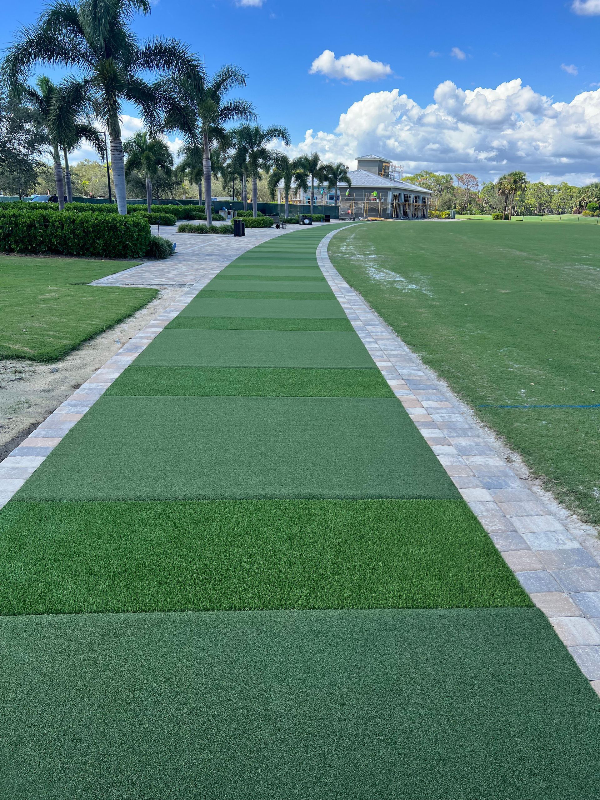 A path surrounded by grass and palm trees in a park.