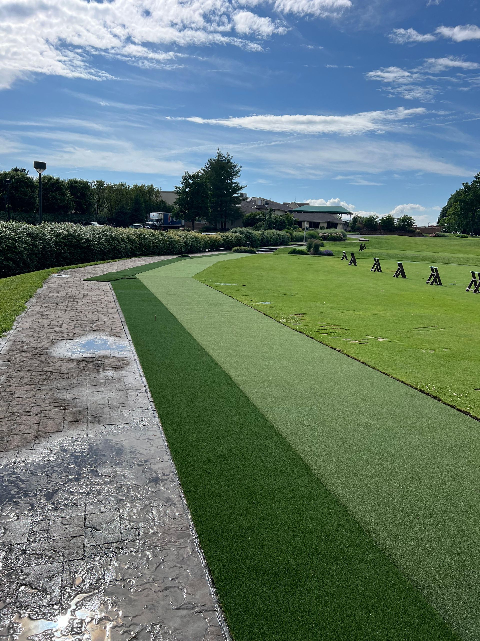 A grassy field with a path going through it.