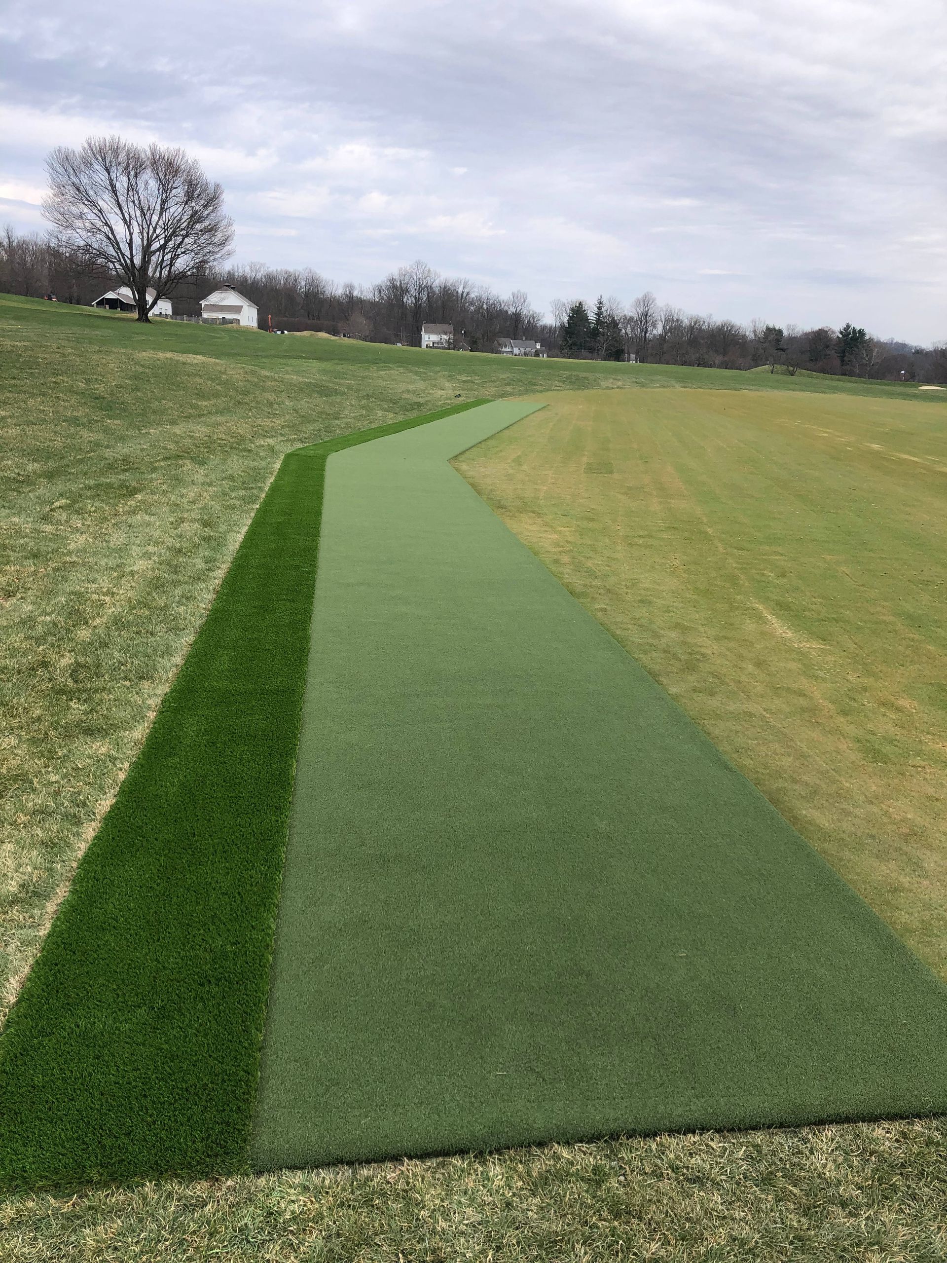 A grassy field with a path going through it and a tree in the background.