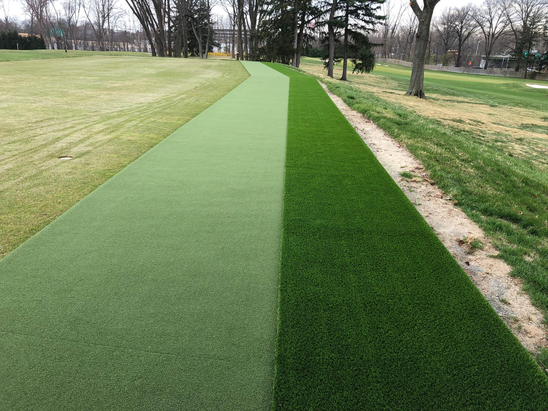 A green path going through a grassy field with trees in the background.