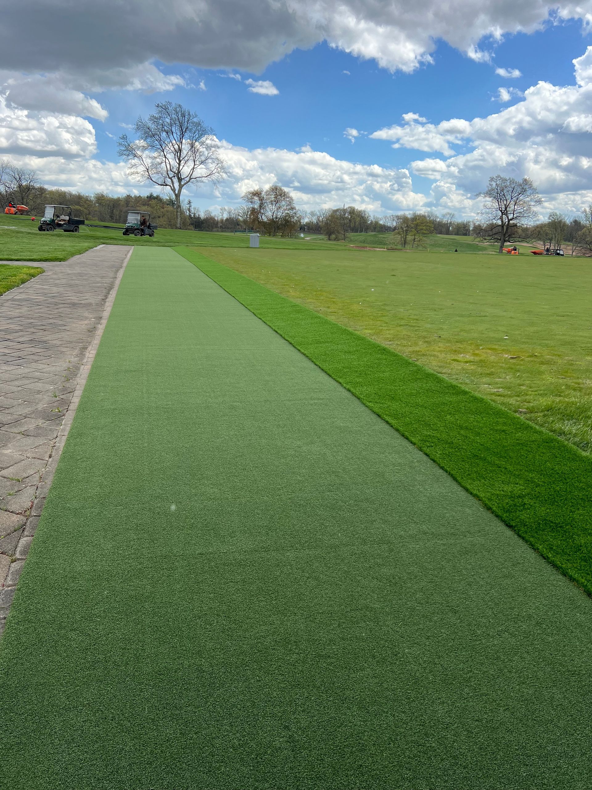 A path going through a grassy field with a blue sky in the background.
