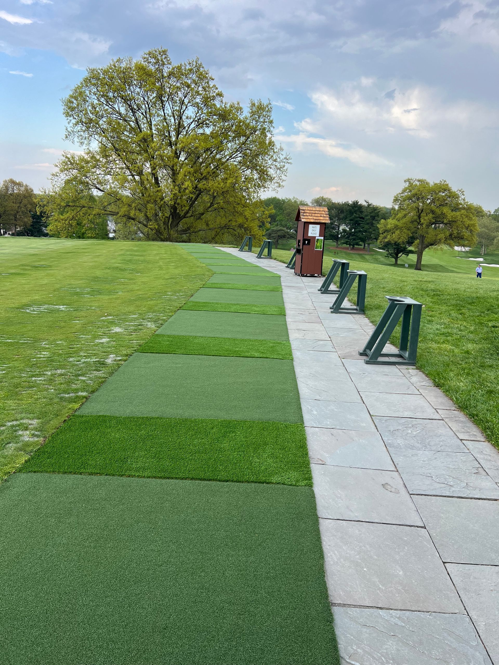 A path going through a grassy field with a tree in the background.