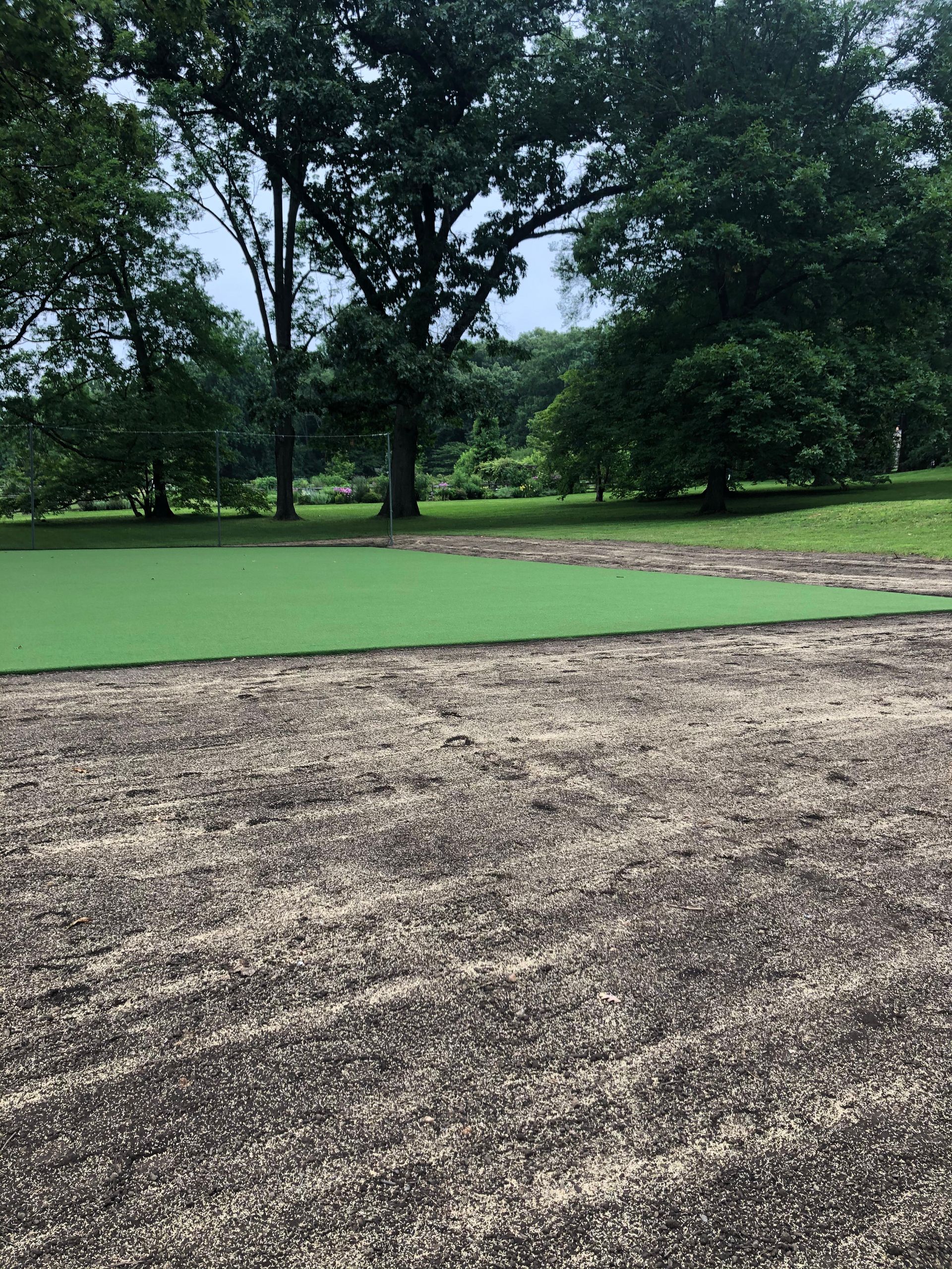 A lush green field with trees in the background.