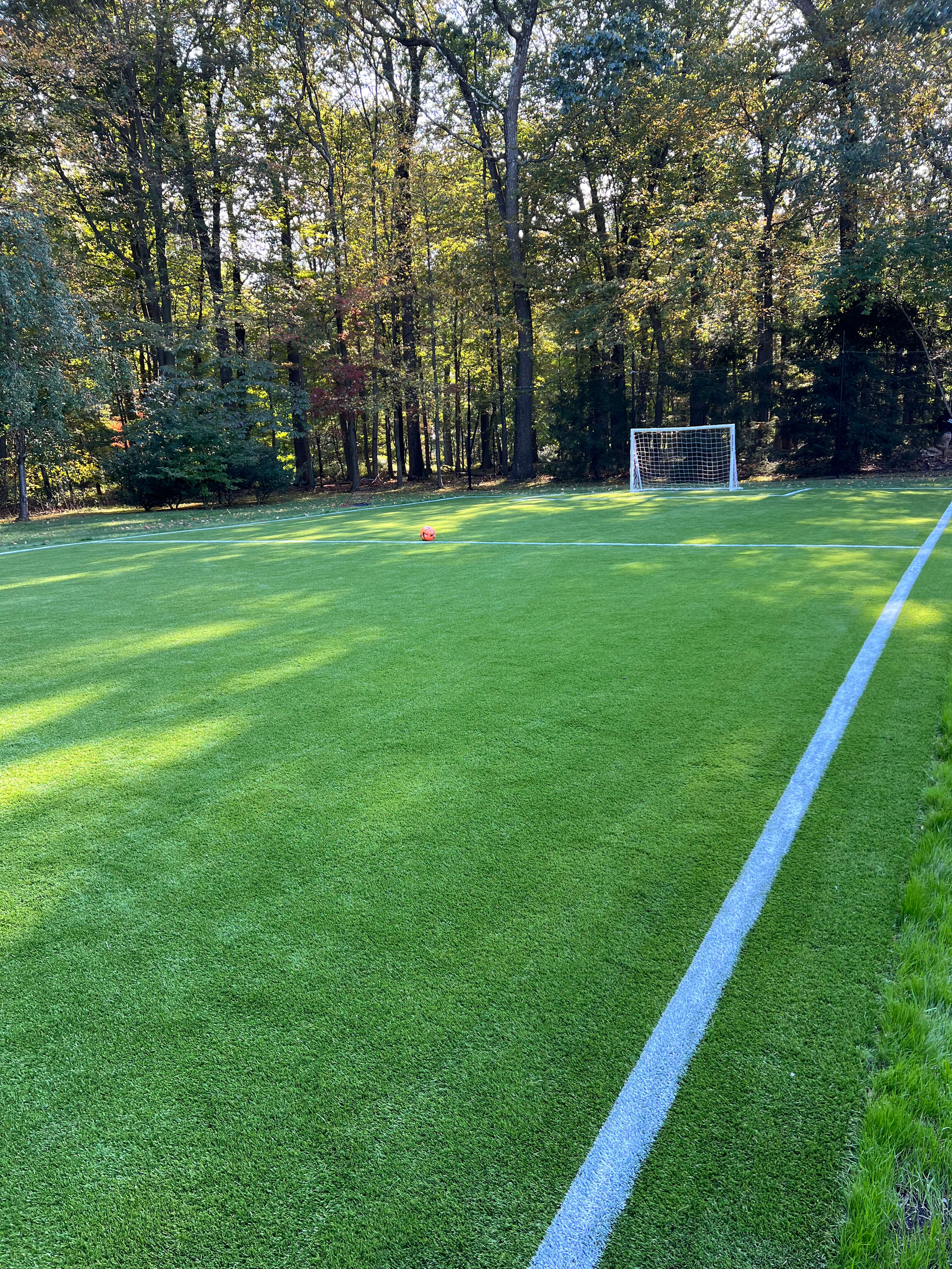 A soccer field with a goal and trees in the background.