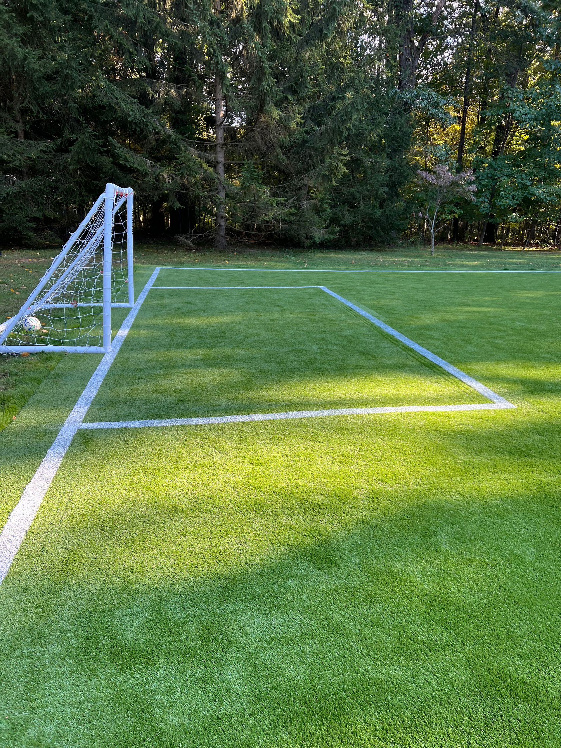 A soccer field with a goal and a white line on it.