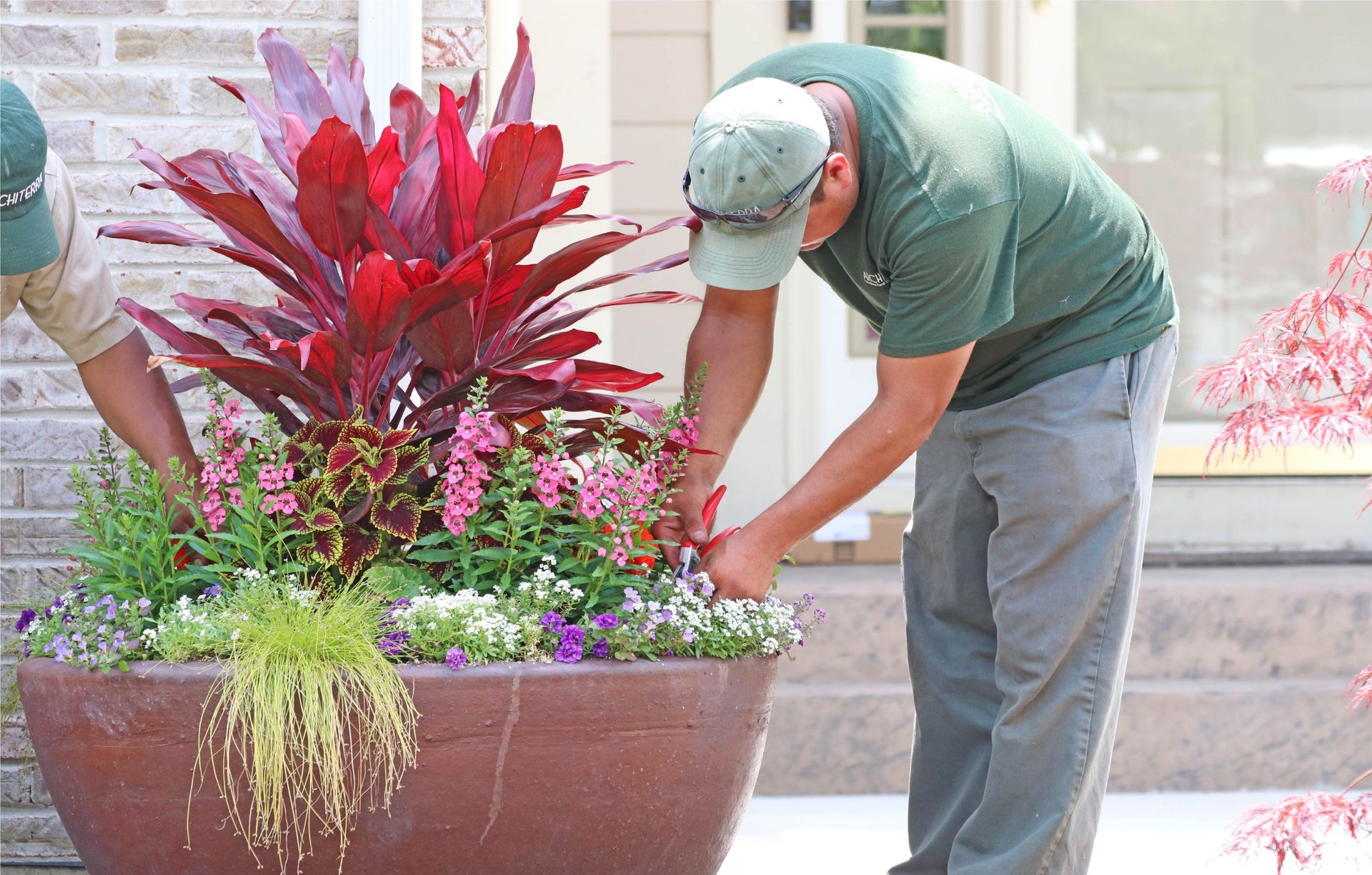 Two men are working on a potted plant outside of a house