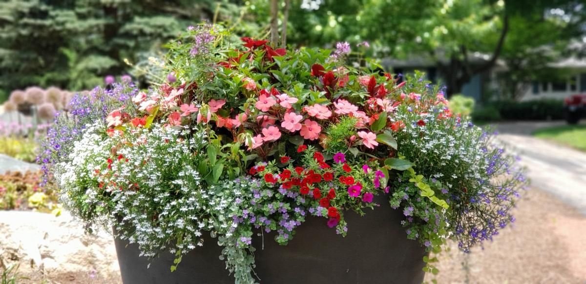 A close-up of a lush flower pot overflowing with various colorful blooms in a garden setting.