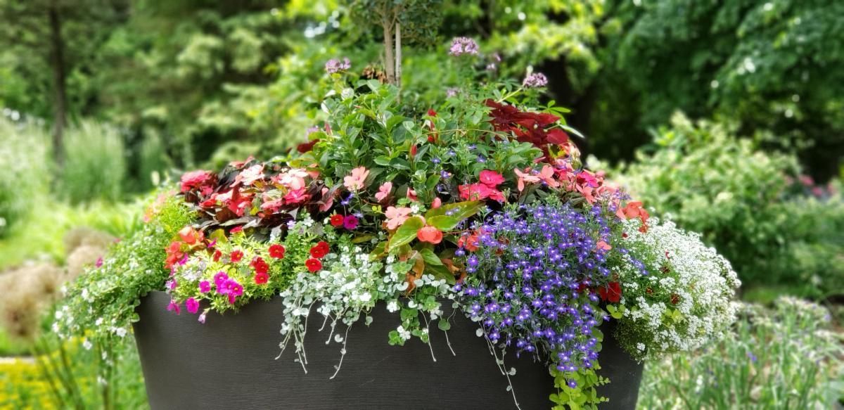 A lush, overflowing planter with a variety of colorful flowers in a garden setting.