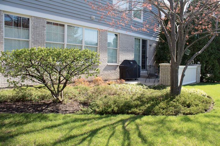 A brick building with windows, a patio, a grill, and landscaping with green shrubs and a tree.