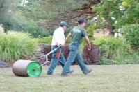 Two men rolling a lawn roller on a grassy lawn; trees and bushes in the background.