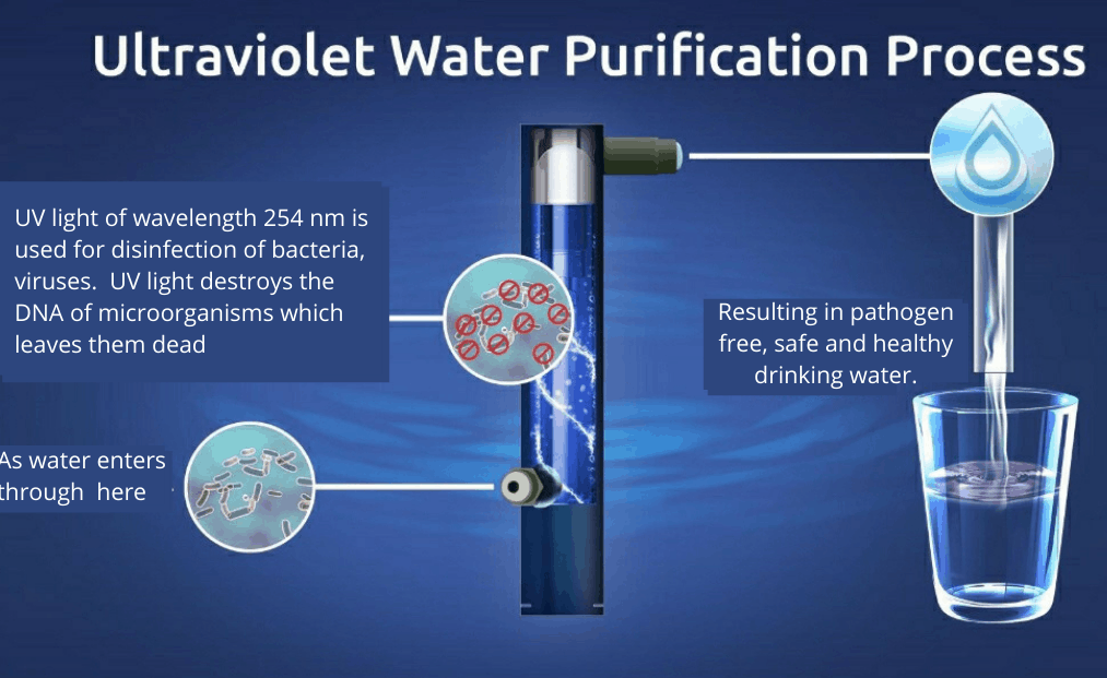 Ultraviolet water purification diagram showing UV light killing germs as water flows through a filter unit.