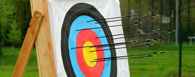 arrows shot on an archery target