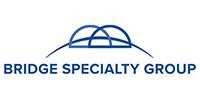 Bridge Specialty Group logo with blue bridge icon and dark blue text on a white background