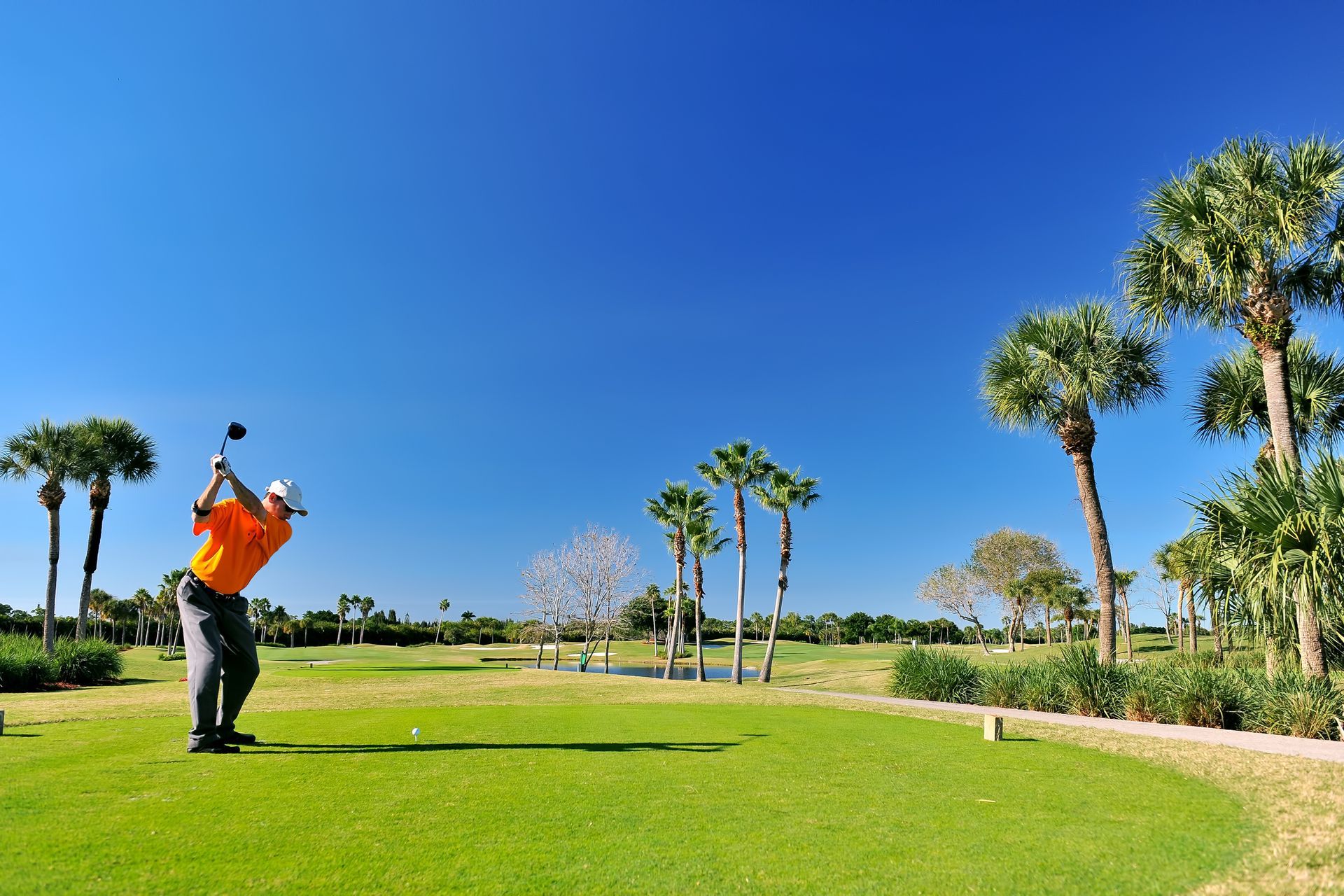 Golfer in orange shirt mid-swing on a sunny green course with palm trees under a clear blue sky