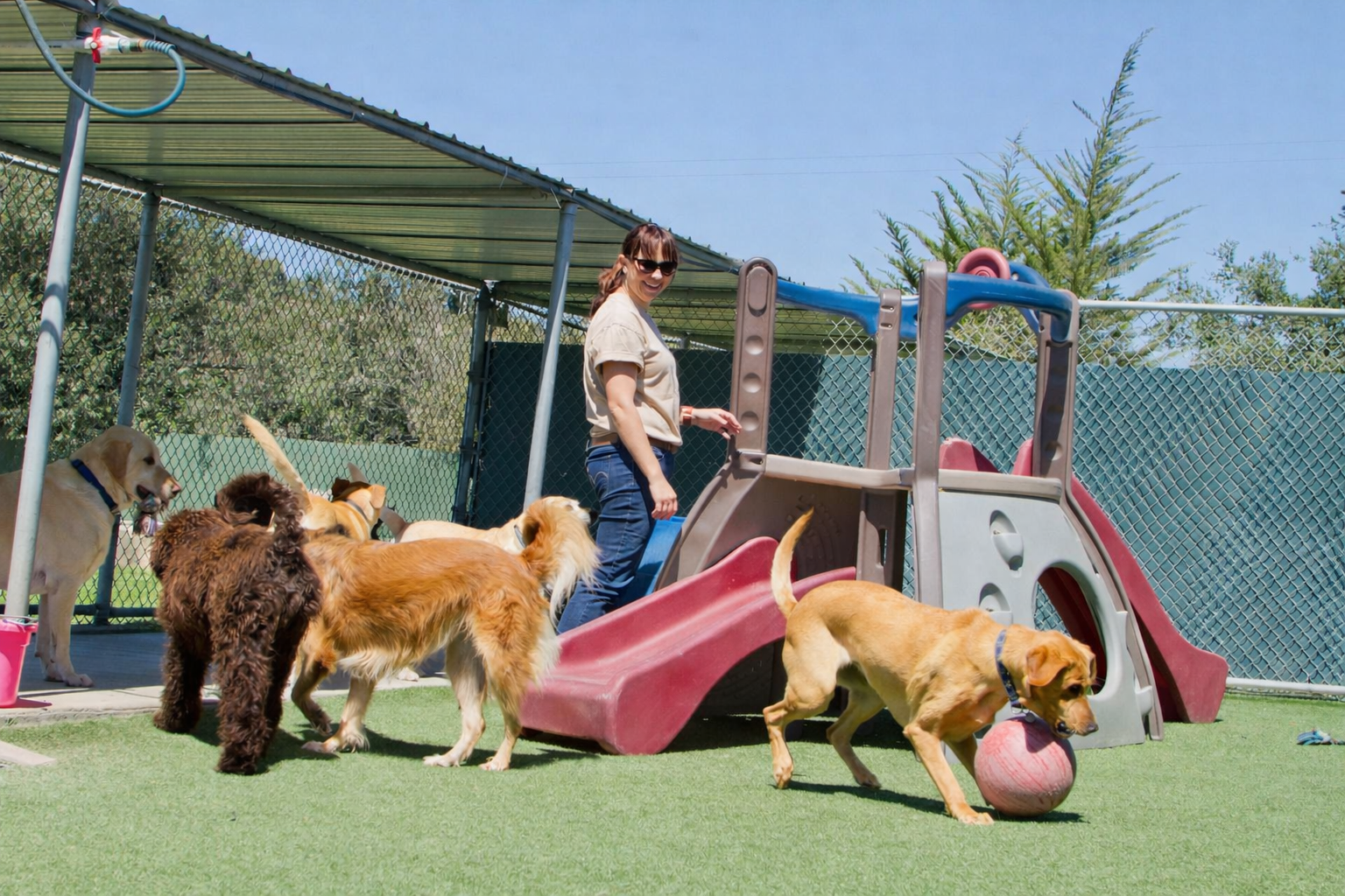 Noah's Ark Veterinary And Boarding Resort