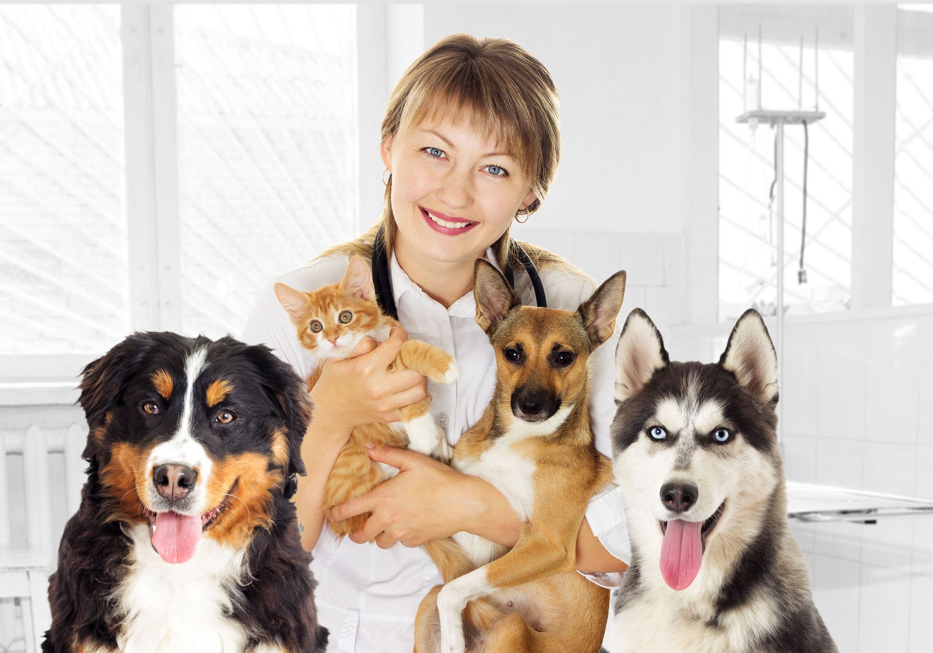 Noah's Ark Veterinary And Boarding Resort