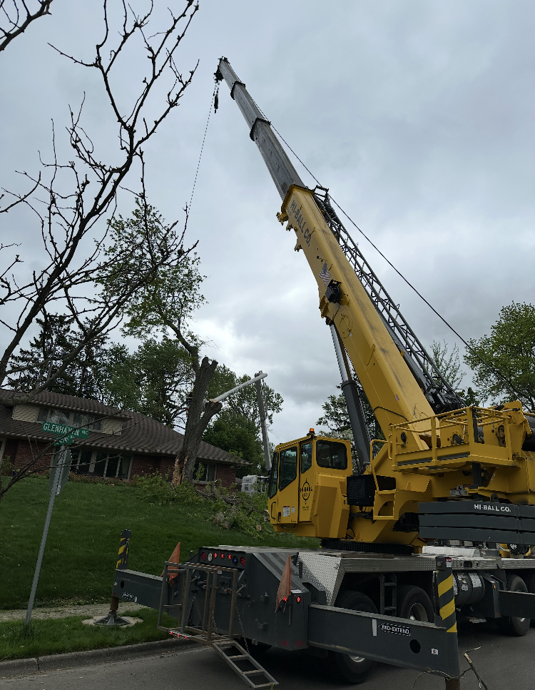 Yellow crane removing tree branches from residential area.