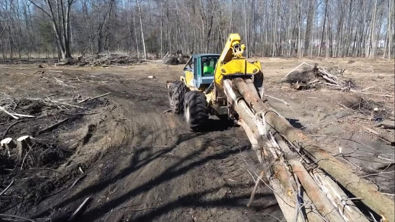 Yellow forestry machine transporting logs through a cleared area.