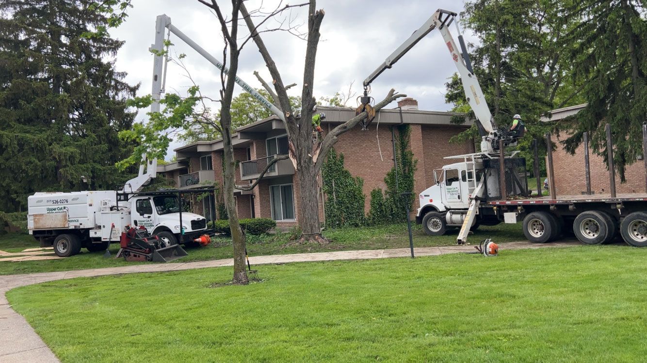 Tree removal in progress near a two-story brick building. Trucks with cranes are present. Green grass.