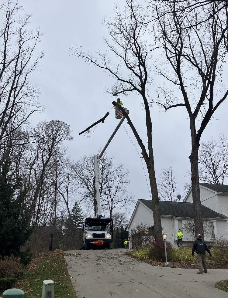 A tree is being trimmed by a worker in a bucket lift, near a house on a cloudy day.