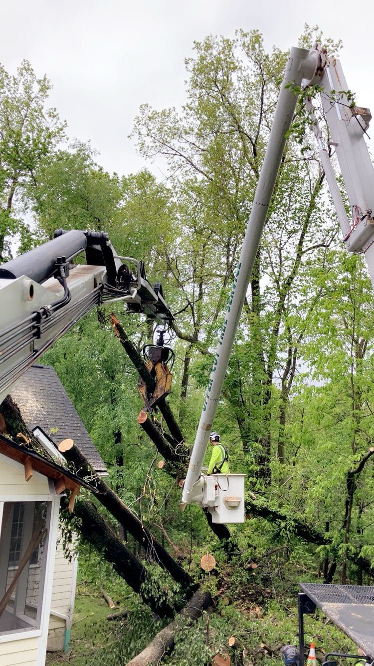 Tree service trimming branches with a bucket lift near a house.