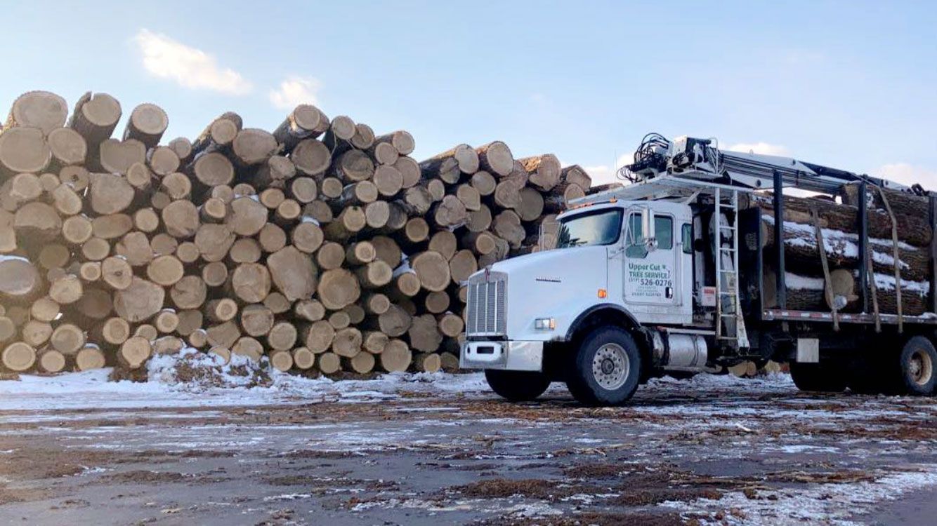A log truck next to a large pile of logs on a snowy lot under a blue sky.