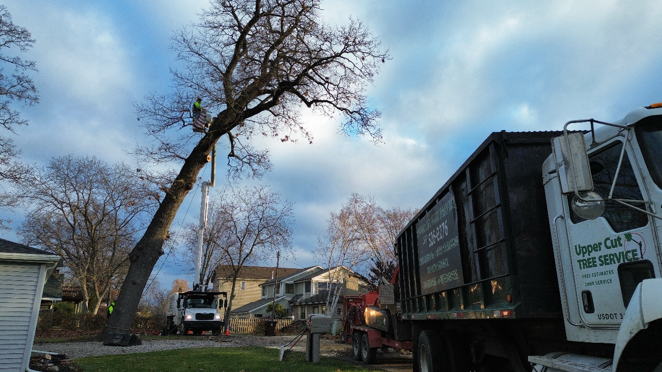 Tree removal, truck, and workers with an elevated lift next to a house under a cloudy sky.