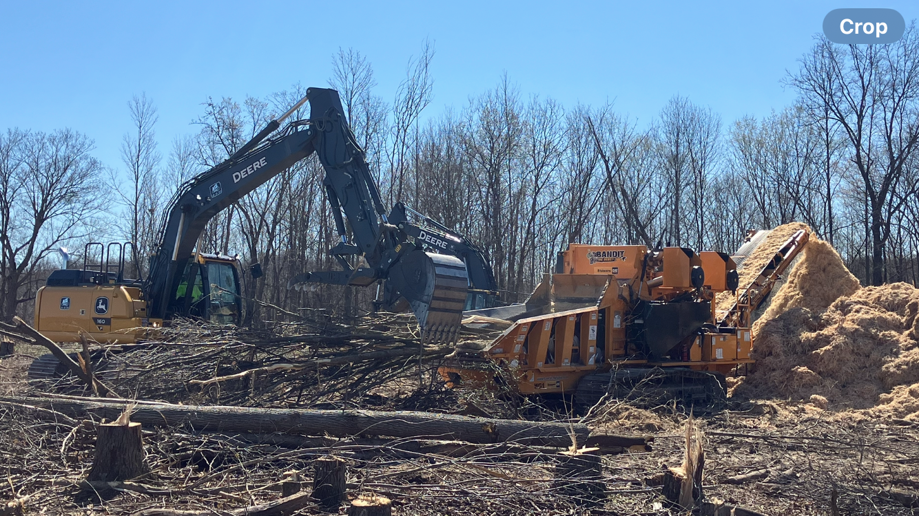Excavator feeding brush chipper, producing wood chips. Blue sky backdrop.