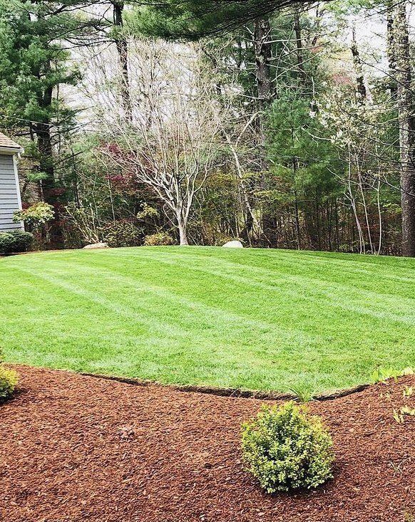 Dinatale Landscaping & Supply Company Landscapers Abington MA