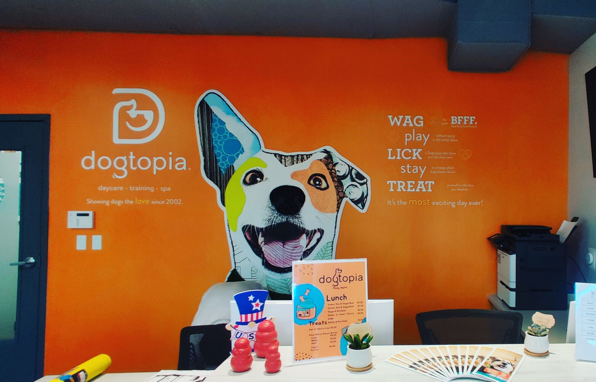 A dog sitting at a desk in front of a wall that says dogtopia