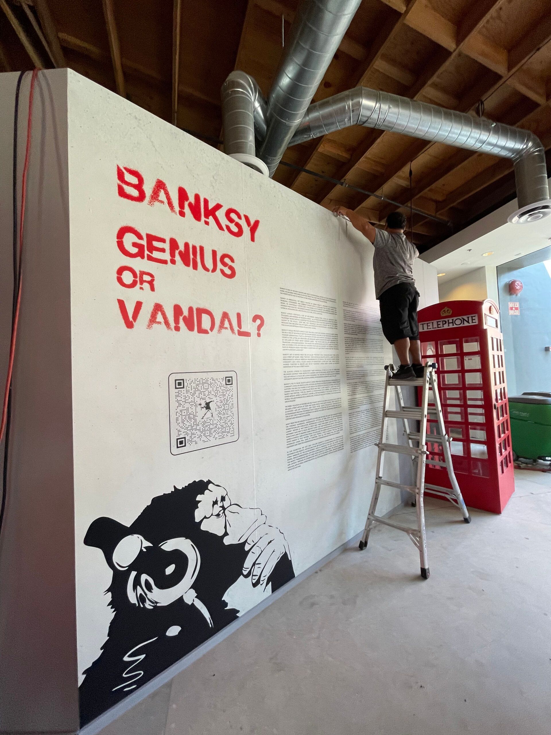 A man standing on a ladder in front of a wall that says banksy genius or vandal