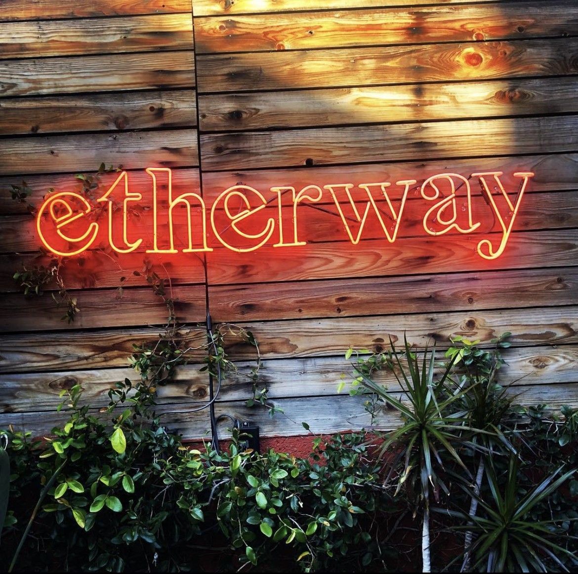 A neon sign that says etherway on a wooden wall
