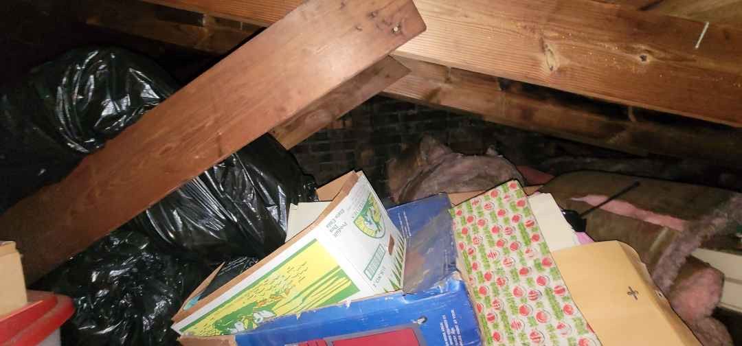 There is a lot of trash in the attic.
