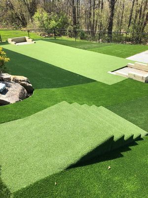 A backyard putting green featuring turf, a set of small steps, and a hole with a flag pole in a landscaped setting.