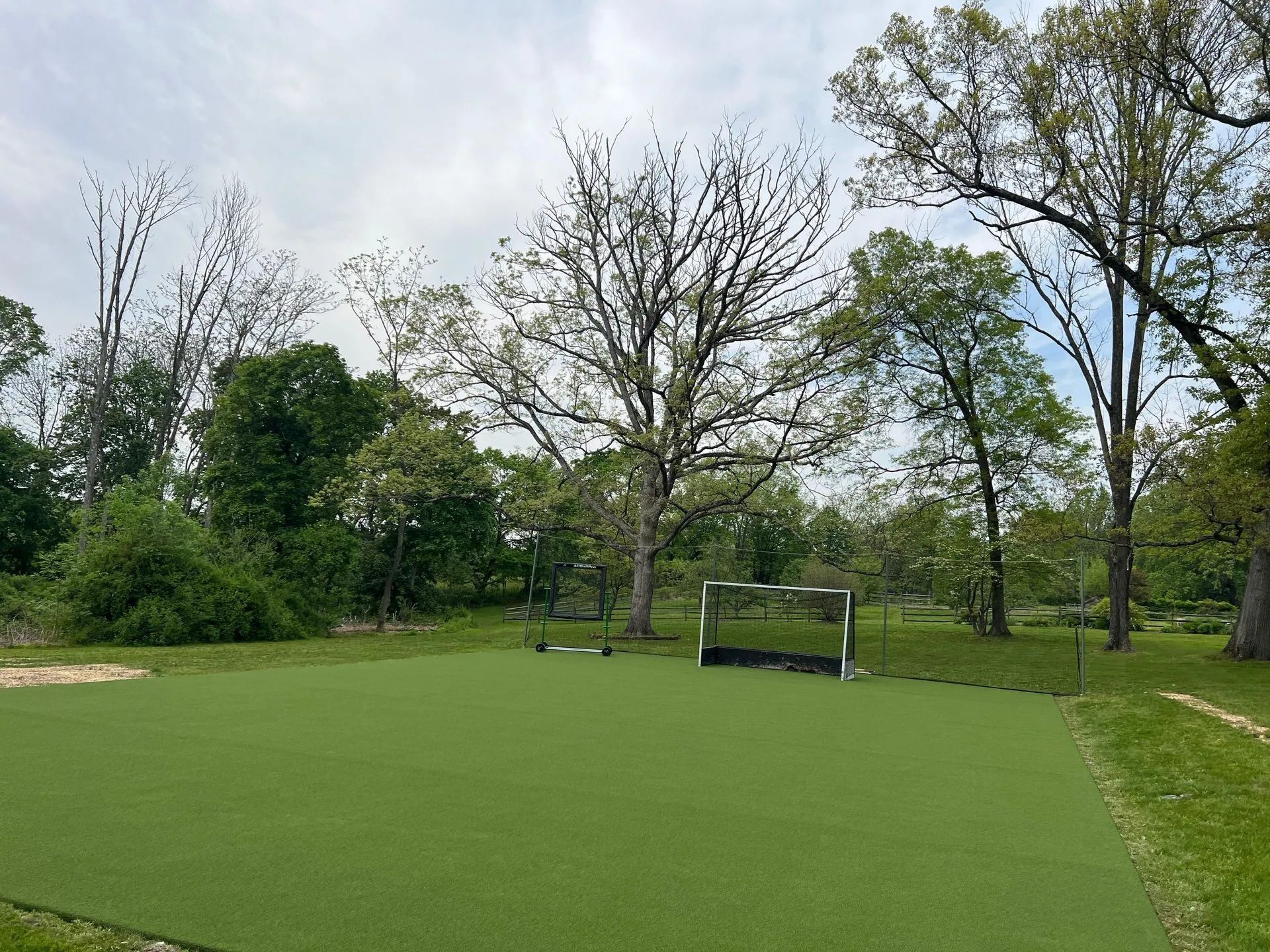 A rectangular patch of green turf sits in a grassy yard, featuring a small soccer goal positioned near the trees.