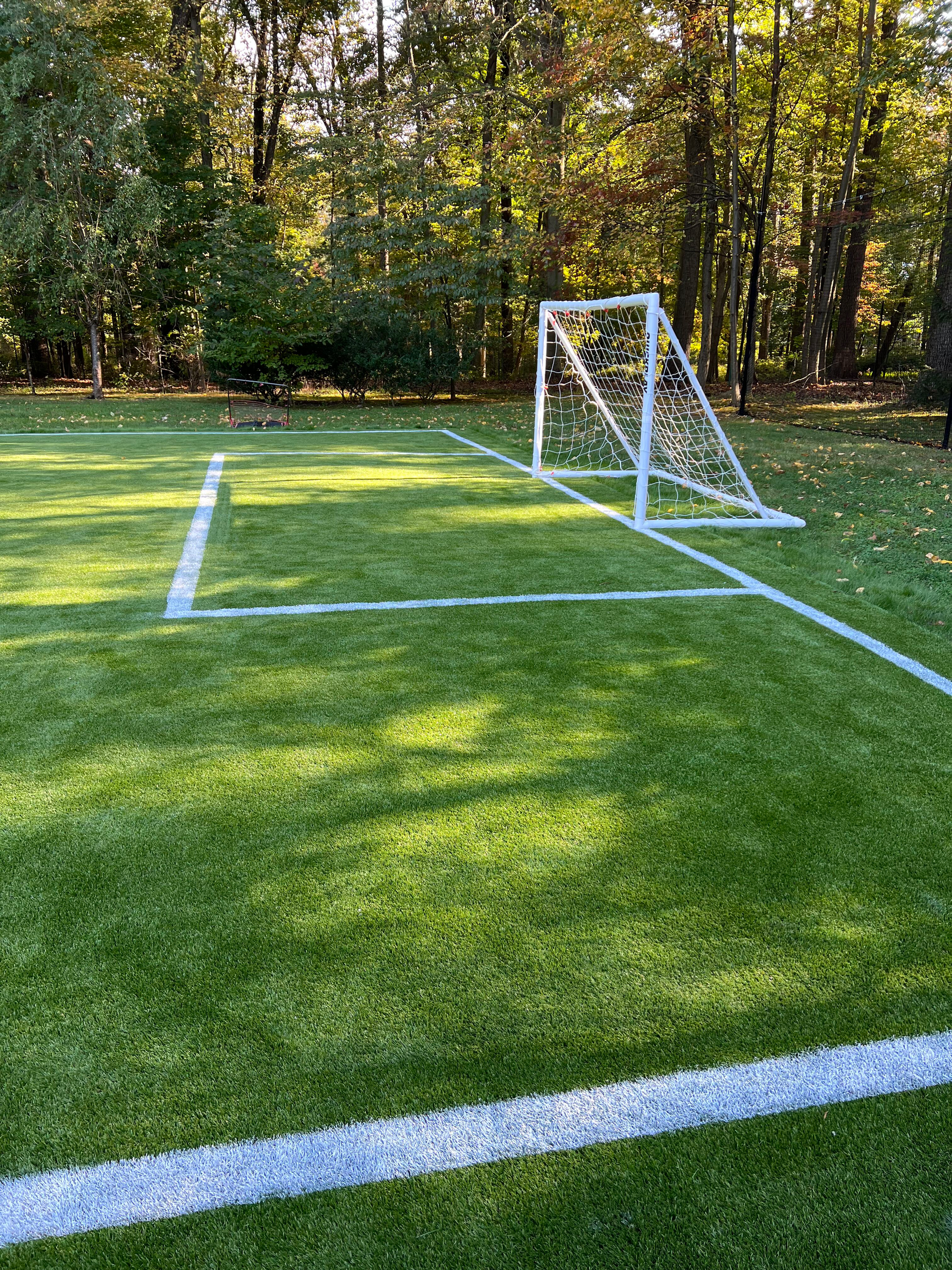 A soccer goal sits on a manicured green field, marked with white lines, near a tree-lined forest.