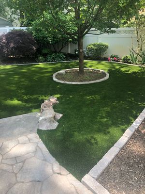 A green, well-manicured lawn with a tree in a circular stone planter, bordered by a stone patio and garden beds.