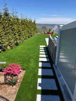 A backyard view with a stepping-stone path along a fence, a green lawn, a row of tall hedges, and a water view in distance.