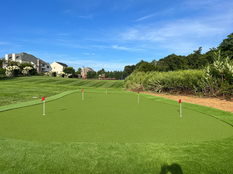 A residential backyard putting green with several golf holes and flags, surrounded by lawn, trees, and houses.