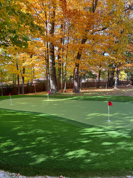 An artificial putting green with three flagsticks, surrounded by vibrant yellow autumn trees in a residential backyard.