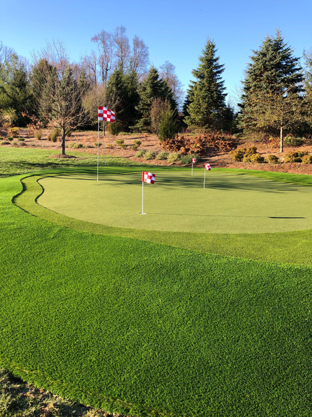 A putting green with three flags on a sunny day, surrounded by pine trees and a grassy yard.