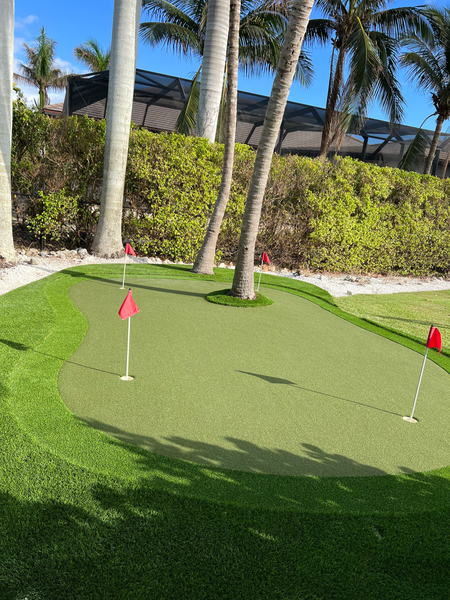 A backyard putting green with four red flags, surrounded by artificial grass, palm trees, and a hedge on a sunny day.