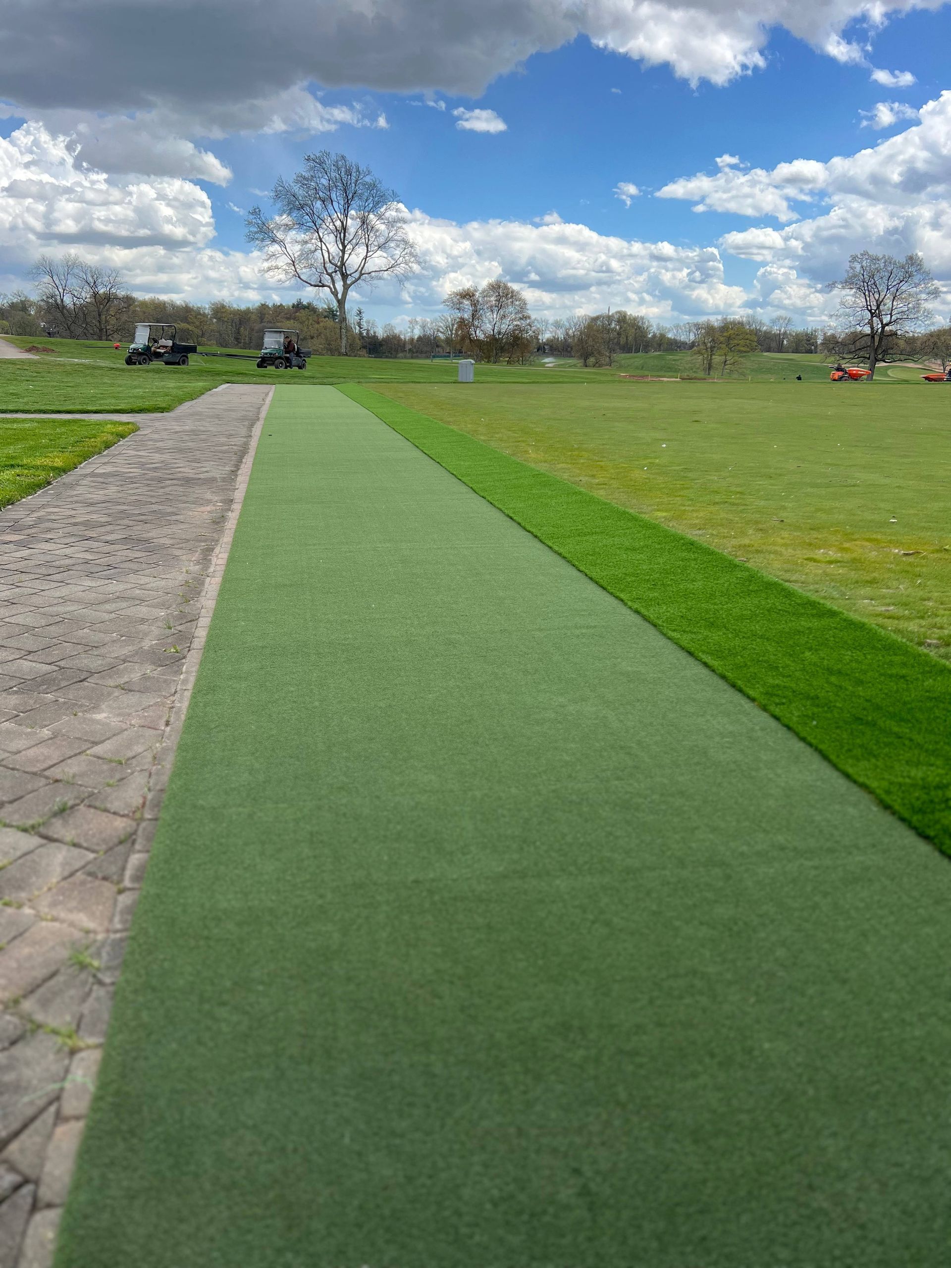 A wide shot of a green turf path bordered by pavers and natural grass under a cloudy, blue sky.