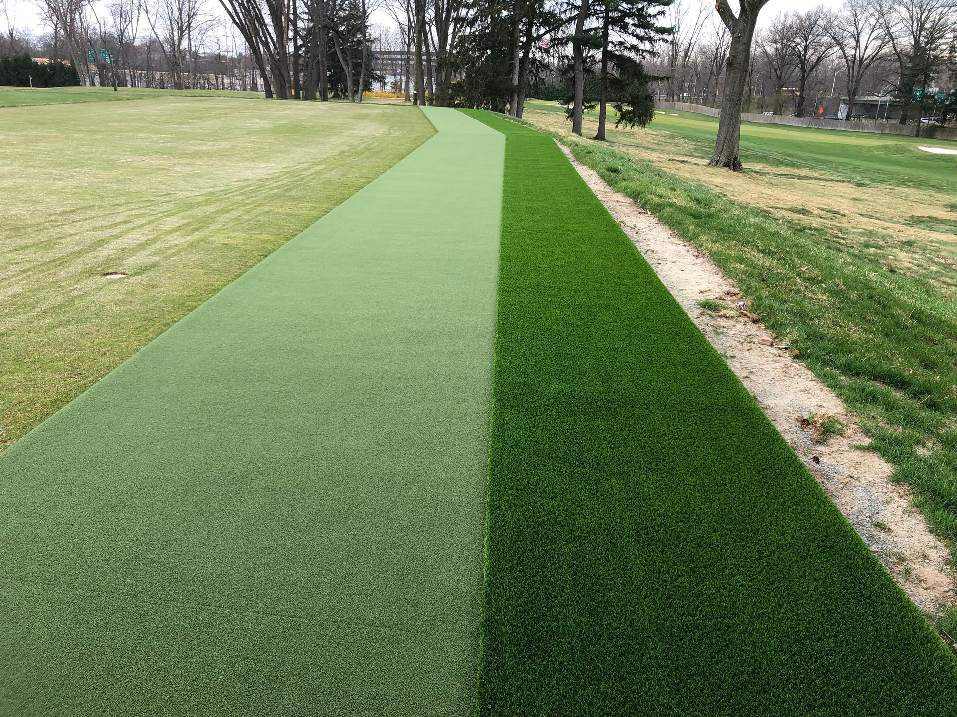 A light-green turf path lies next to a strip of dark-green turf, flanked by natural grass lawns in a park-like setting.