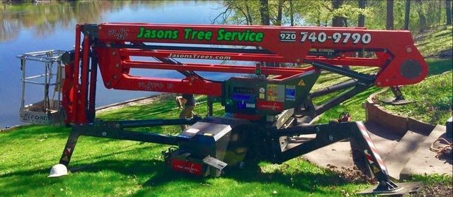 reliable tree service near me