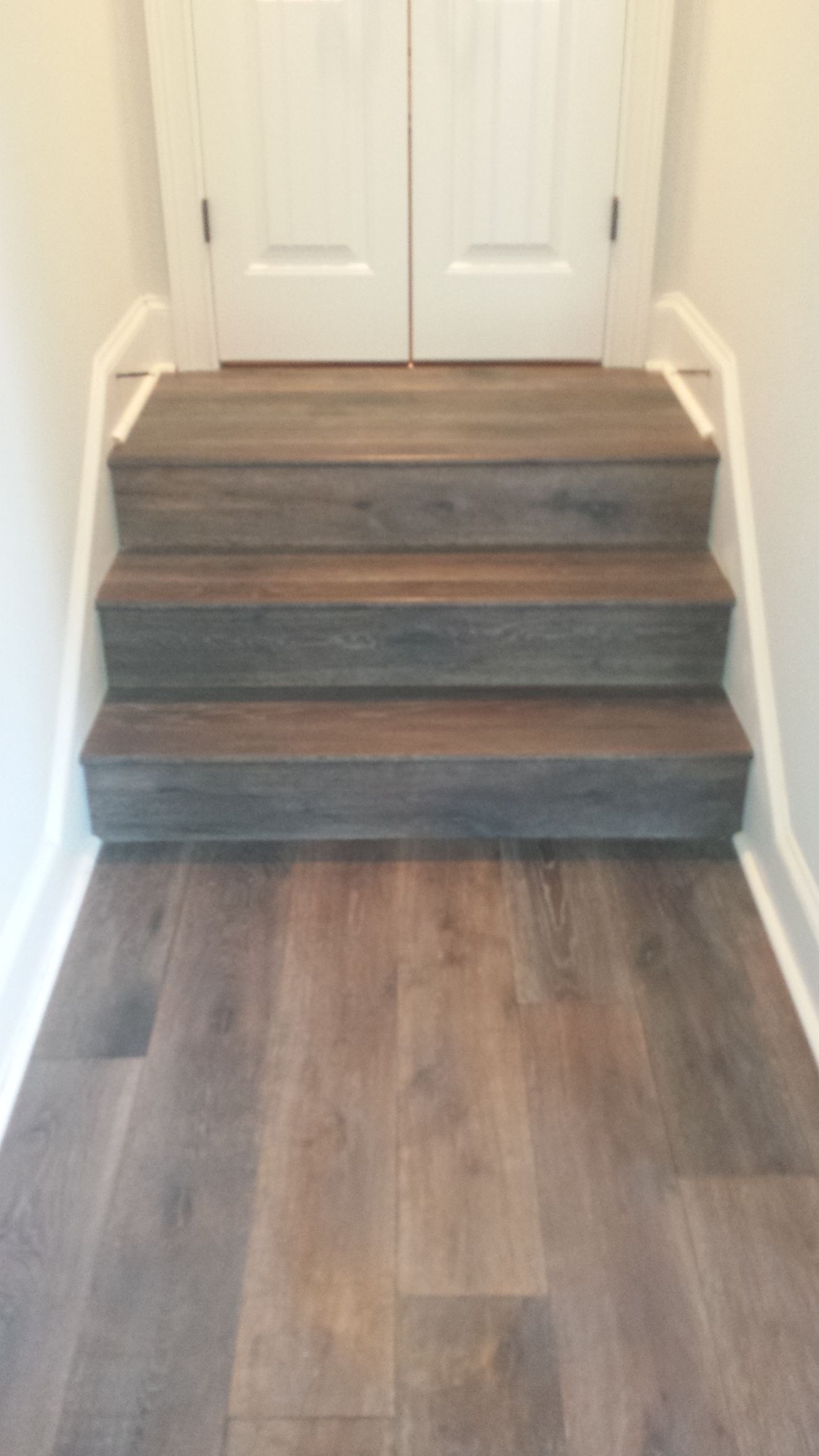 Three wooden stairs leading to a closed white double door; wood-look flooring.
