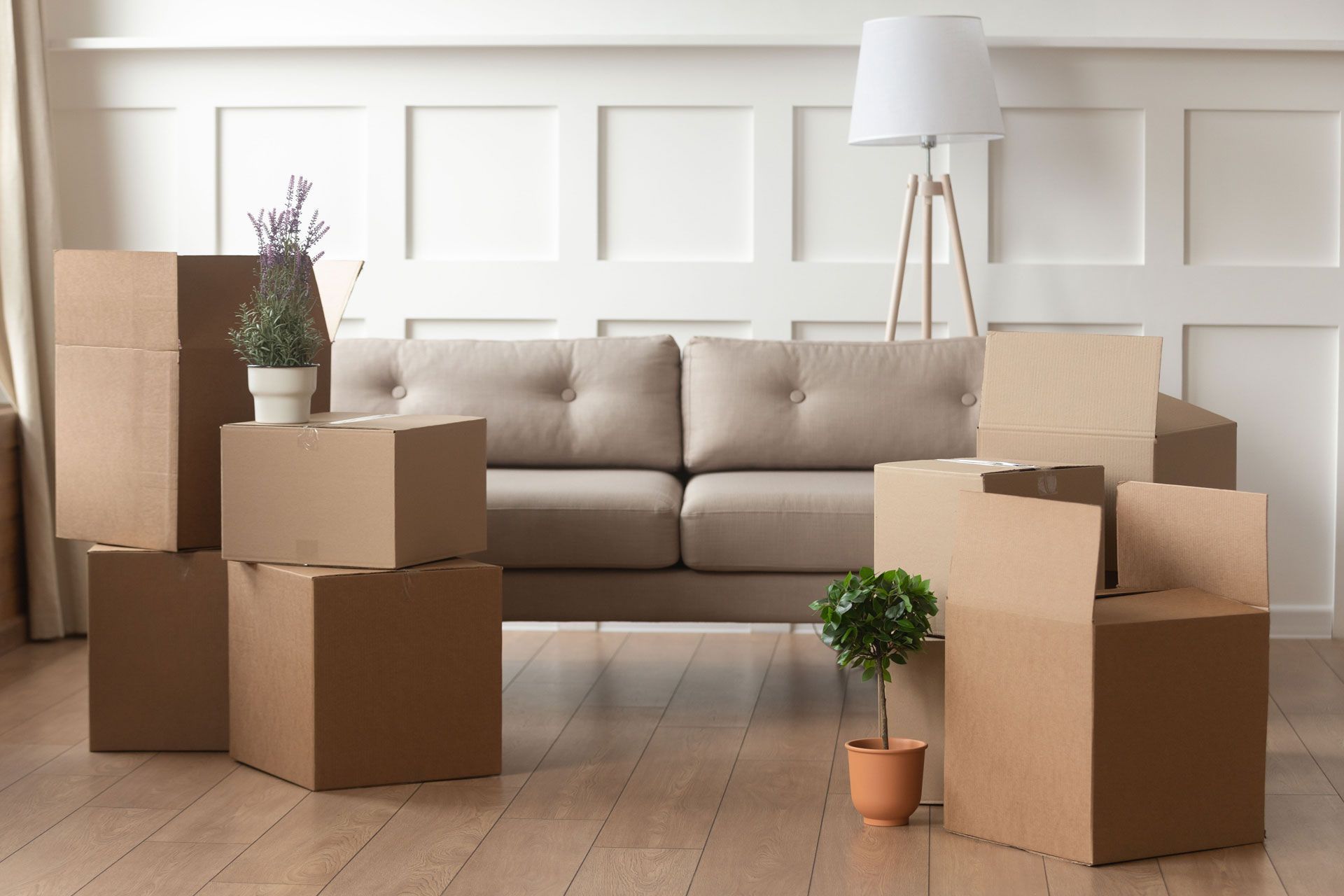 Cardboard boxes in front of a sofa, a floor lamp, and plants, likely indicating a move.