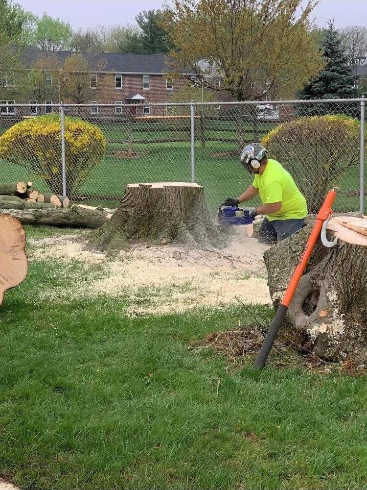 A man is cutting a tree stump with a chainsaw.