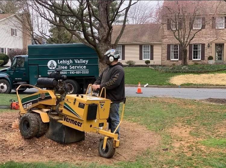 A man is using a machine to remove a tree stump.